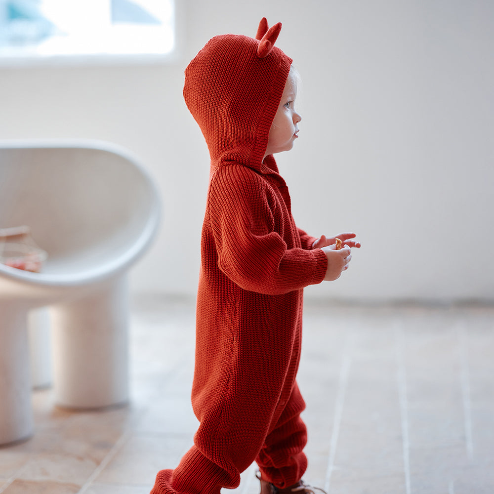 Oak Family Christmas Baby Hooded Romper – Red Reindeer